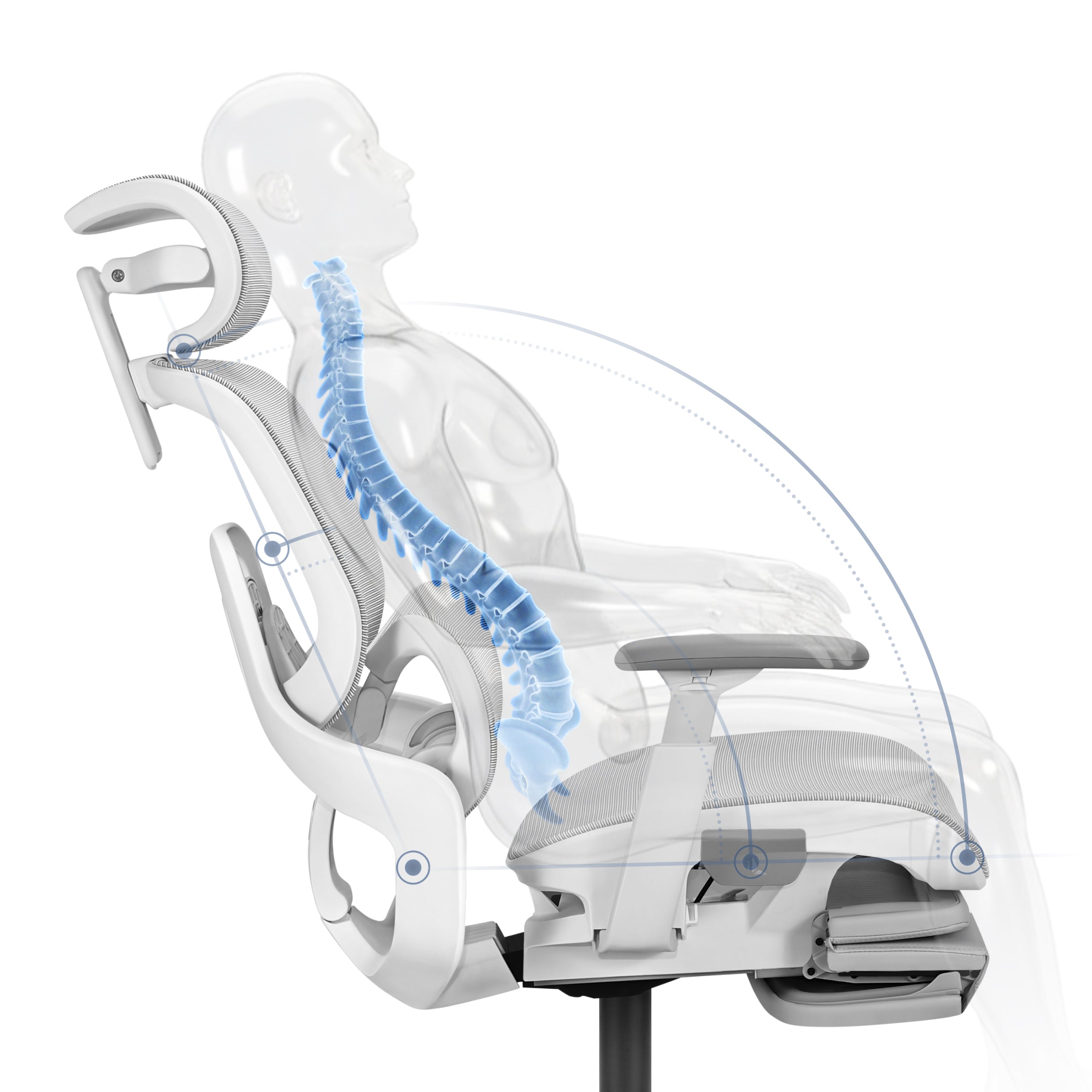 Soporte lumbar y sacro adaptable